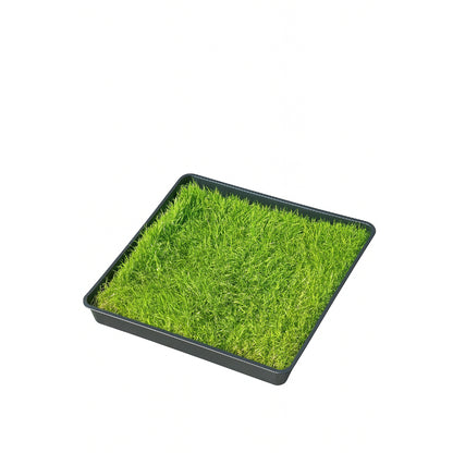 Gras Patch "M" - für Haustiertoilette