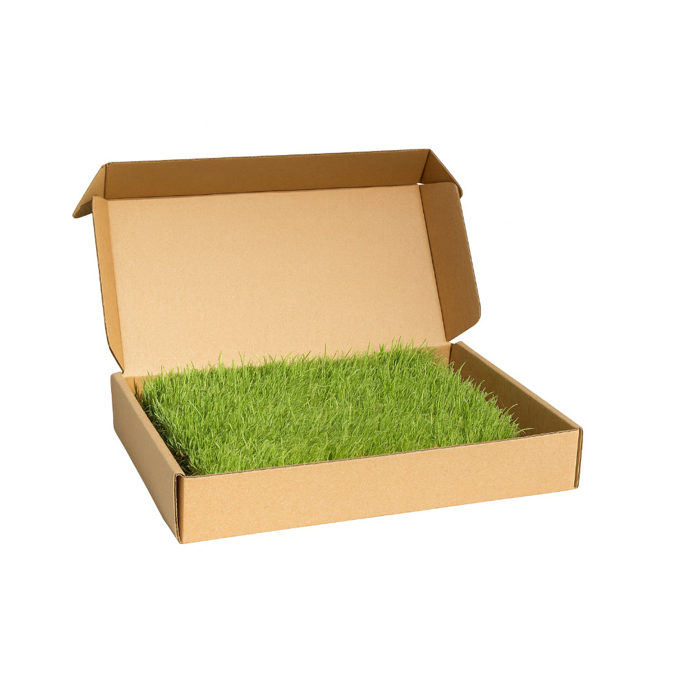 Gras Patch "S" - für Haustiertoilette